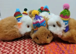 Alpaca Stuffed Animal Guinea Pig with Knitted Hat