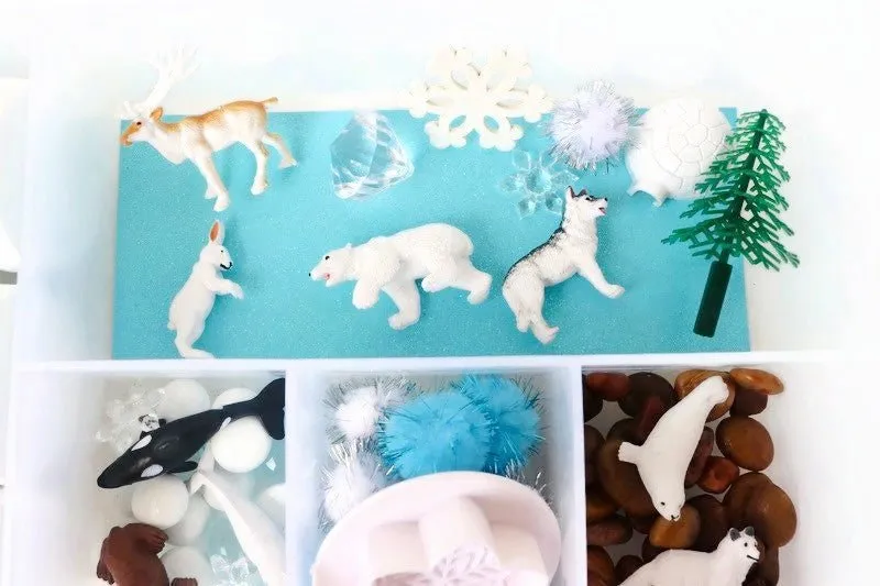 Arctic Play Dough Kit