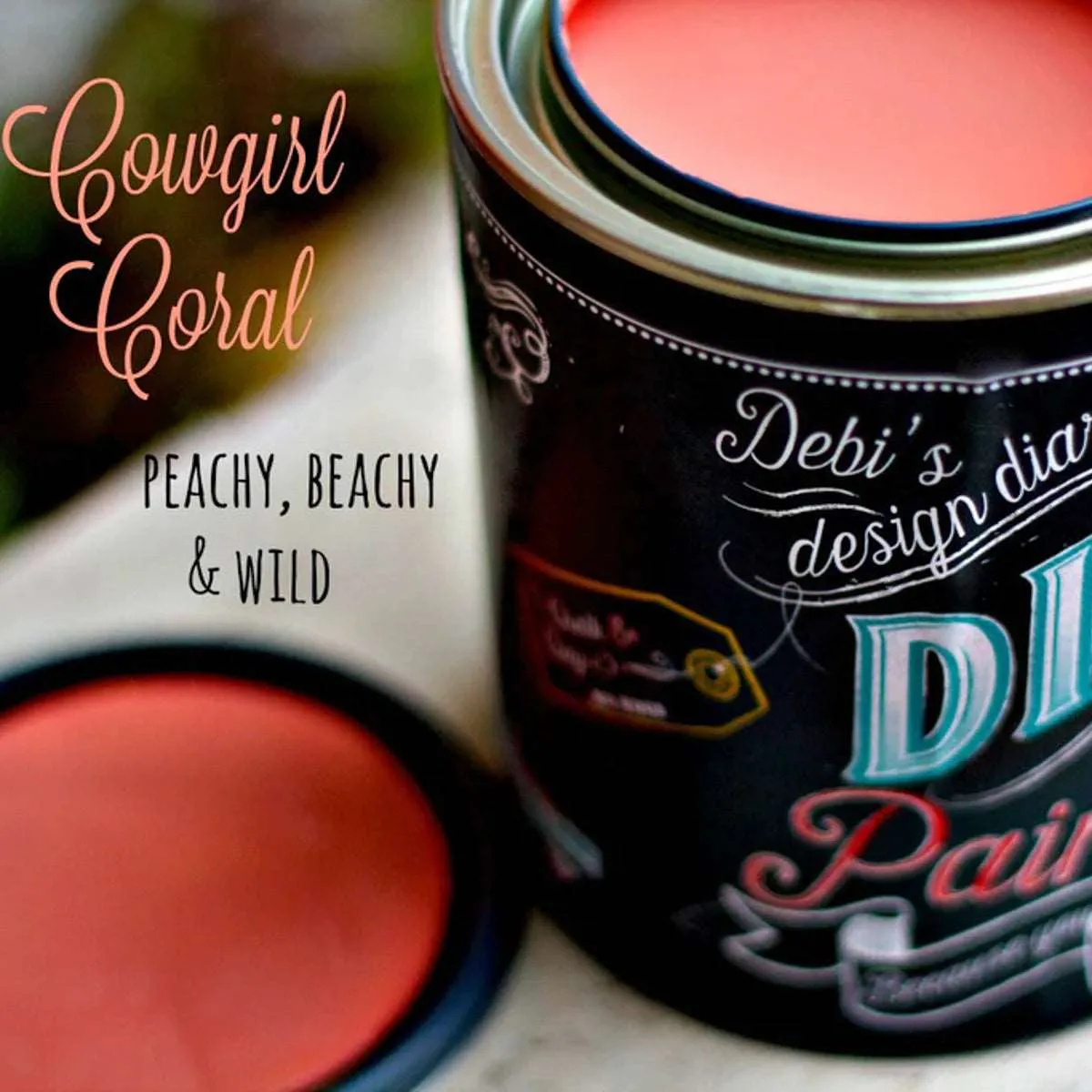 Cowgirl Coral - DIY Paint Co