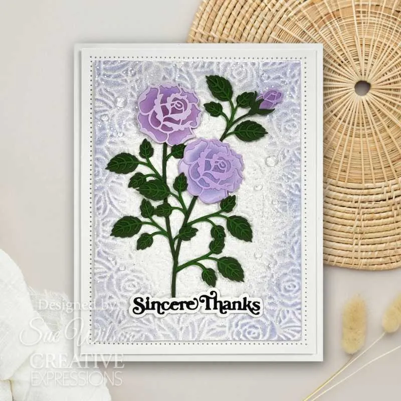 Creative Expressions Craft Dies By Sue Wilson  - Mini Shadow Sentiments - Sincere Thanks