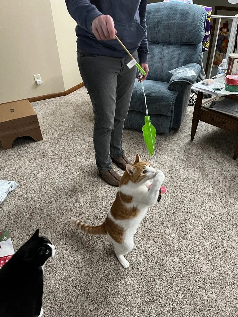 Handmade Cat Toy