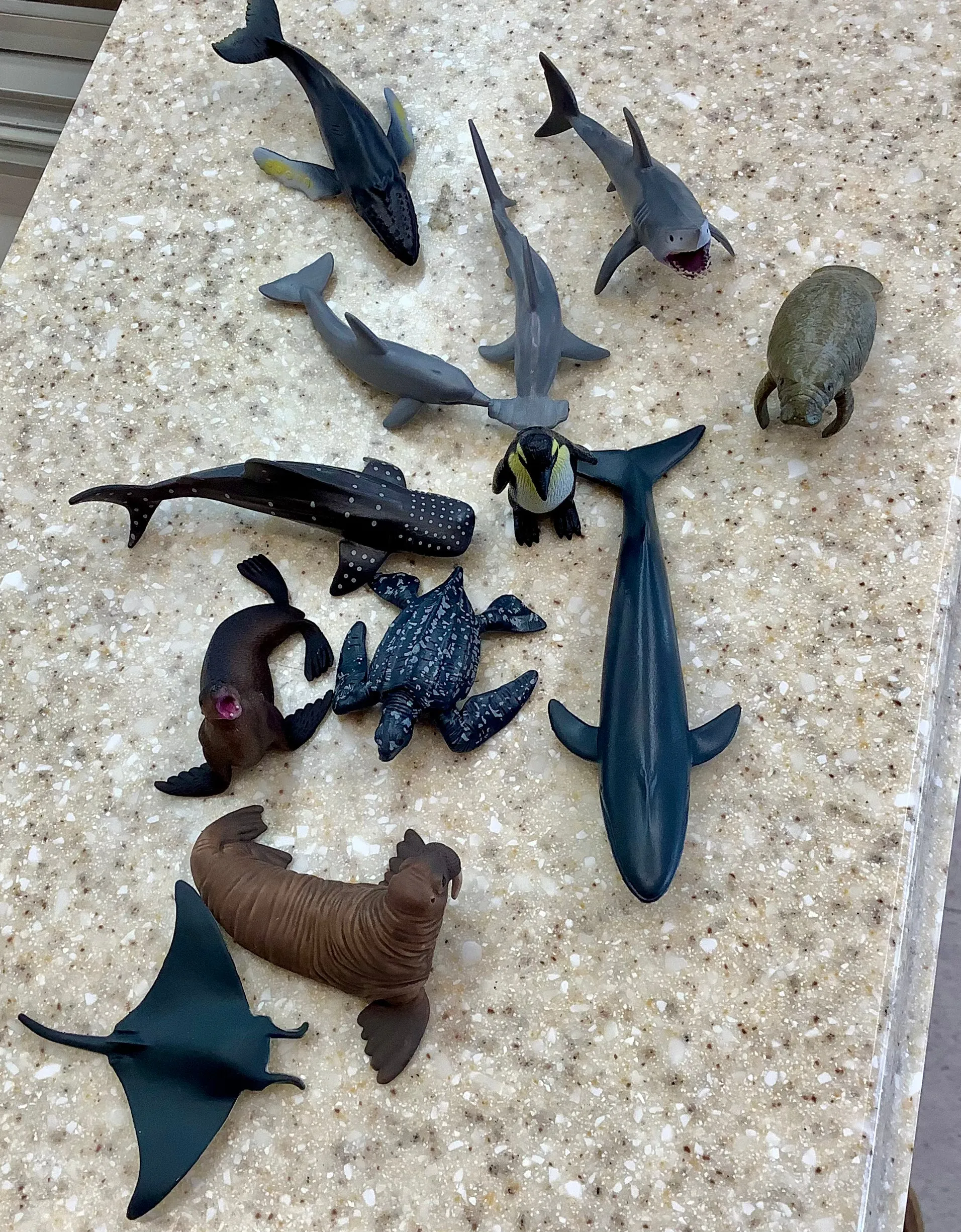 Sea toys