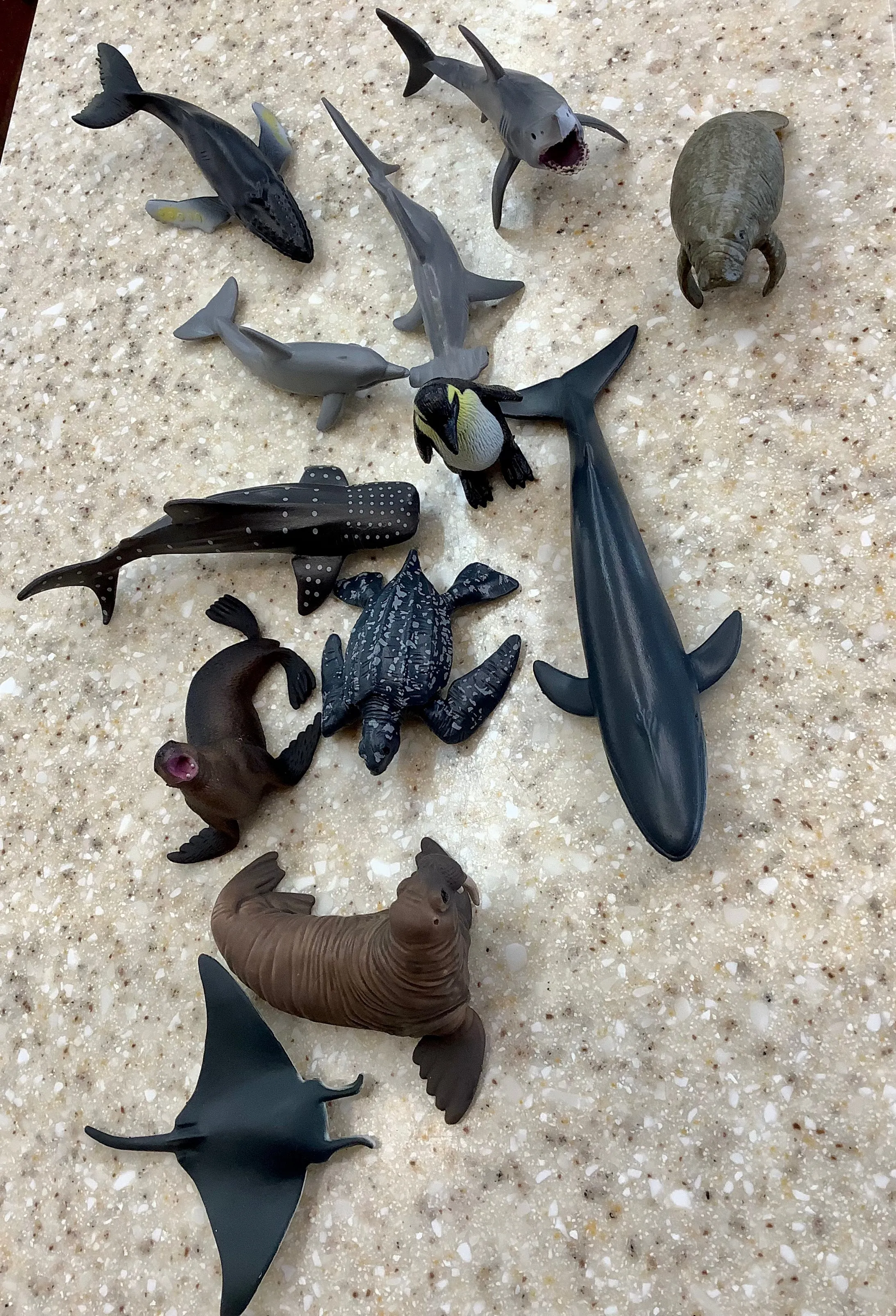 Sea toys